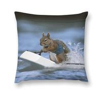 LDGSUPH Water Skiing Squirrel Pillowcases with Zipper Removable Plush Throw Pillow Covers Soft Pillow Cases Luxury Pillow Protector Cushion Covers for Bed Sofa Car 16 "x16