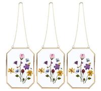 LDHHYH 3 Pack Glass Frames, 4x6 Inch Glass Floating Frames with Chains, Hanging Picture Frames, Pressed Flower Frames for Dried Flowers, Specimens and Home Decor, Gold