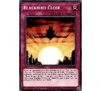 LDS2-EN046 Blackbird Close