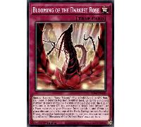 LDS2-EN120 Blooming of the Darkest Rose