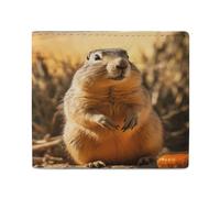 LDTVSFZQ Hand Drawn Groundhog Full Print Wallet, Double Fold Credit Card Wallet Change Wallet Card Case Money Organizer Wallet Cash Wallet with Smooth Zipper for Women Ladies Women, style, One Size