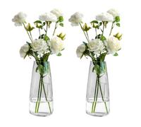 LDXDRU 2 Pack 22cm / 8.6 Inch Flower Glass Vases, Clear Modern Vases for Flower, Tall Vases Transparent Decorative Vases for Home Centerpiece Wedding Reception Party Gift
