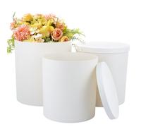 LDXDRU 3 Pack White Gift Boxes with Lids, 22/24 / 26cm Plastic Florist Hat Box with Ribbon Handles, Decorative Storage Box Round Present Boxes Gift Packaging Box for Birthday Wedding Anniversary