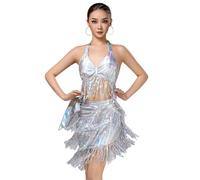 LDXEQIZ Women's Latin Dance Dress with Fringes Adult Sequins Skirt for Salsa, Tango, Cha Cha, Rumba, Professional Dance Skirts for Training Competition, Belly Dance Hip Scarf(Silver)