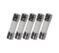LDXMJZOT 5PCS 5X20mm 10A 250V Ceramic Fuse
