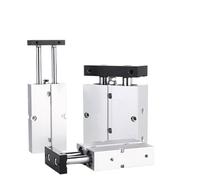 LDXMJZOT TN Series Small Aluminum Alloy Double Rod Pneumatic Cylinder Bore 10mm 16mm 20mm 25mm 32mm Stroke 10 20 30 40 50 60 70 75 100mm(Stroke 70mm,Bore 25)