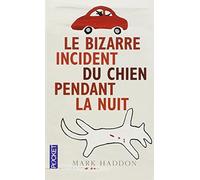Le bizarre incident du chien pendant la nuit by MARK HADDON (Oct 20 2005)