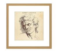 Le Brun Passion Soul Expressions Hatred Jealousy Illustration 8X8 Inch Square Wooden Framed Wall Art Print Picture with Mount Artery8 Light Oak One Size