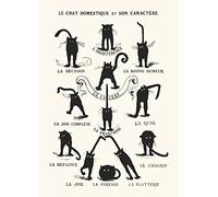 Le Chat domestique et son Caractère Poster (27,94cm x 35,56cm) + plus fabulous protective gift tube