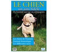 Le Chien, un ami fidèle : De l'animal sauvage au compagnon