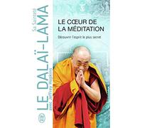 Le coeur de la méditation : Découvrir l'esprit le plus secret - Enseignement sur Les trois mots qui frappent le point vital de Patrul Rinpoché