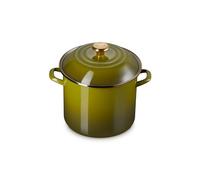 Le Creuset Enameled Pot on Steel, 10 liters, Olive