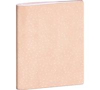 Le Dauphin - Ref 52042D - Box of 30 Binding Notebooks - Dimensions 17 x 22 cm - 72 Pages Including 35 Pages for Correspondence Between School and Student Family - Blue Soft Cover