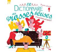 Le dictionnaire des grosses bêtises