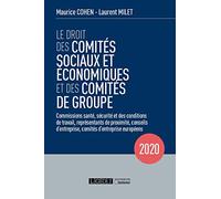 Le droit des comités sociaux et économiques et des comités de groupe (CSE): Commissions santé, sécurité et des conditions de travail, représentants de ... d'entreprise, comités d'entreprise européens