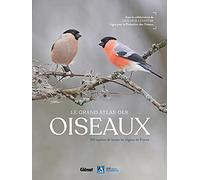 Le grand Atlas des oiseaux: 150 oiseaux des régions de France