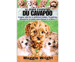 LE GUIDE ESSENTIEL DU CAVAPOO: Étapes clés de la première année, formation d'experts et soins spécifiques à la race.