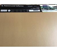 Le Hammond Inferno - Formula 1 [Vinyl Maxi-Single] [VINYL]