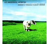 Le Hammond Inferno - Move Your MP 3 [12" VINYL]