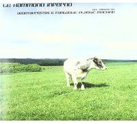 Le Hammond Inferno - Move Your MP3