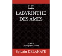LE LABYRINTHE DES ÂMES