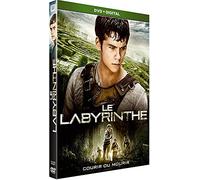 LE LABYRINTHE - GOTHAM GROUP