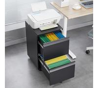 le Metal File Cabinet with Lock, 2 Ders, Adjustable Hanging Bar for Letter/Legal/A4 Files, 5 Wheels (2 Lockable), Rust-Resistant, Under-Desk Sto for Home/Office