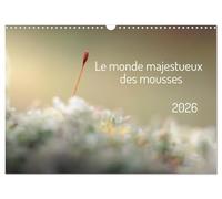 Le monde majestueux des mousses (Calendrier mural 2026 DIN A3 vertical), CALVENDO calendrier mensuel: À la découverte du monde fascinant des mousses