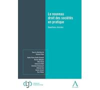 Le nouveau droit des sociétés en pratique: Questions choisies