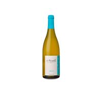 Le Paradou Rolle Vermentino 2025