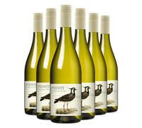 Le Peewit Sauvignon Gris Côtes de Gascogne 6 x 75cl | French Fruity Zesty Crisp White Wine | White Peach & Apple Blossom | 11.5% ABV | Vegan