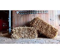 Le Petit Ballot Wheat Straw Bale 10 to 12 kg Natural 60 x 40 x 50 cm