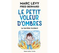Le Petit Voleur d'ombres - Tome 3 Le Terrible accident (3)