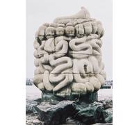 Le pied, le pull-over et le systeme digestif