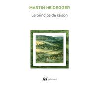 Le principe de raison