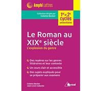Le roman au 19ème siècle: L'explosion du genre