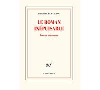 Le roman inépuisable: Roman du roman