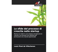 Le sfide del processo di crescita nelle startup: Ricerca sul modo in cui le startup concepiscono la crescita e sui processi che utilizzano per promuovere una crescita esponenziale