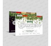 Le Sserafim - Spaghetti - Weverse Albums Version