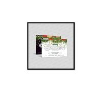 LE SSERAFIM SPAGHETTI [Weverse Ver.] 1st Single Album (B Ver.)