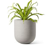 LE TAUCI 15 cm Plant Pot, Ceramic Pot with Drainage Hole & Rubber Plug, Indoor Planter for Herbs & Small Houseplants, Cylinder Planter for Home Office, Gray