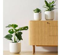 LE TAUCI Ceramic Plant Pots Set, 21+17.5+14.5 cm Indoor Plant Pots, Flower Pots with Drainage Holes, Medium Cylinder Planters for Indoor House Plants, Set of 3, Reactive Glaze White