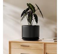 LE TAUCI Ceramic Pots for Plants, 20 cm Plant Pot with Drainage Hole & Saucer, Modern Minimalist Planters for Indoor Plants, Round Flower Pot for Snake Plant, Monstera, Perfect for Home Decor, Black