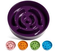 LE TAUCI Ceramic Slow Feeder Dog Bowls Small Breed, 0.6 Cups Dog Food Dish for Fast Eaters, Puzzle Bowl for Small Dogs and Cats,Purple