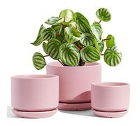 LE TAUCI Plant Pots, 11+13+17 cm Ceramic Planters, Set of 3 Flower Pots with Drainage Hole and Saucer, Indoor Plant Pot with Hole Mesh Pad, Gifts for Mom, Pink