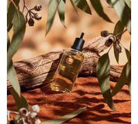 Le Temps des Songes - Australia - FiiLiT Parfum du Voyage - Eau de Parfum Aromatic Woody - Sandalwood, Eucalyptus, Blue Cypress - Bottle, 95% Natural Origin, Vegan, Made in France - Refill 200 ml