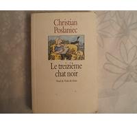 Le treizieme chat noir