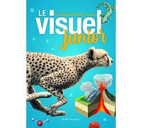 Le Visuel Junior: Dictionnaire Français - Anglais