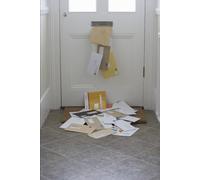 LE VIVRE ENSEMBLE EN FRANCE : LE DÉLITEMENT.