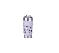 LE1863 Weber BiWtz 63A D02 gG 400V Fuse Link